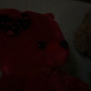 Meet your Posher, Rosa